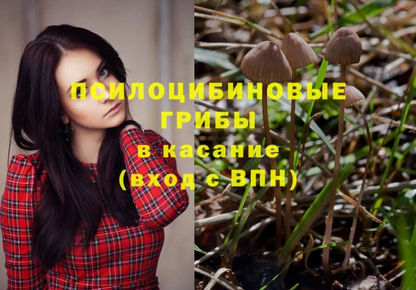 прущая мука Пестово