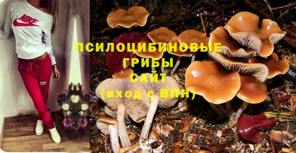 MESCALINE Абинск